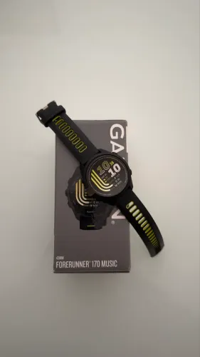 Garmin 170 music