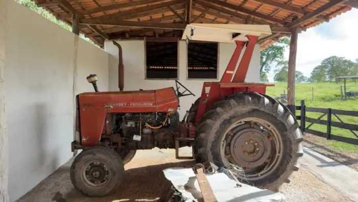 Massey Ferguson MF 290 - Trator muito conservado