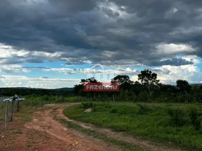 Fazenda 48 alqueires (232,32 hectares) Minaçu - Go