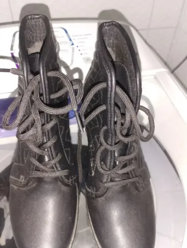 Bota