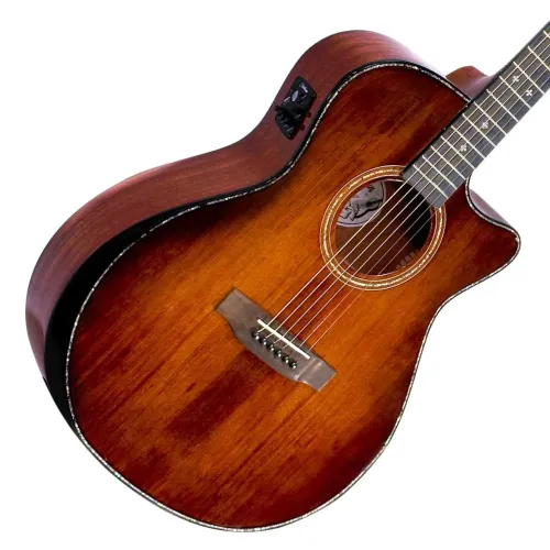 Violão Waldman com tampo maciço (Novo)
