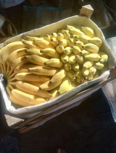 BANANAS,PRATA E MANICA NO KILO