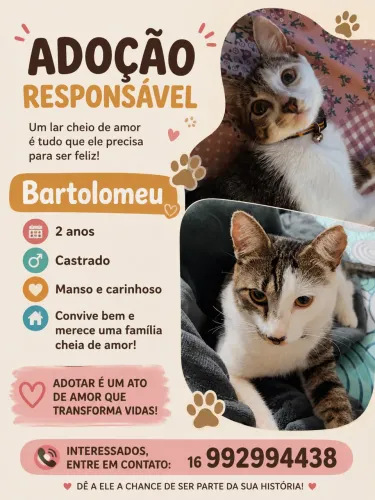 Doação 