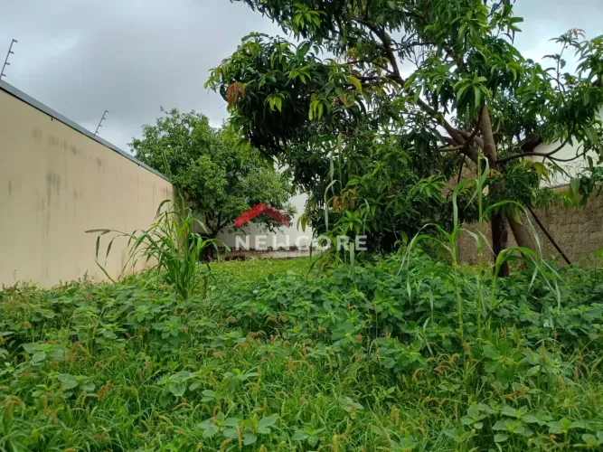 Lote em Rua do Projetista - Jardim das Palmeiras - Uberlândia/MG