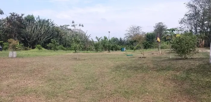 Alugo terreno industrial de 1000mts a 300 mts dutra...barato