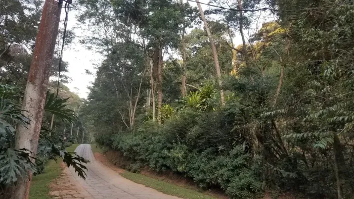 Terreno Condomínio em Itaipava - Petrópolis - RJ
