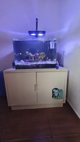 Aquário marinho completo