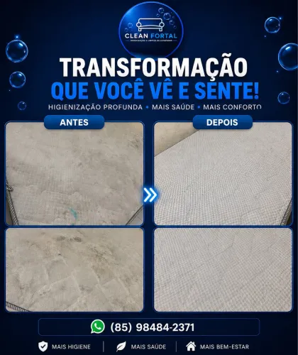 Lavagem a seco / higienização