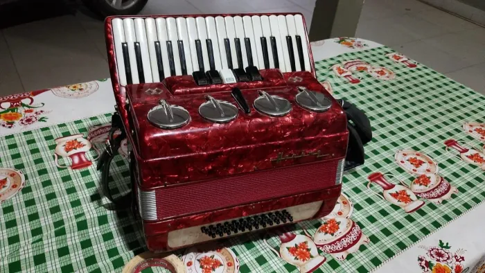 Sanfona / Acordeon Ering 48 baixos