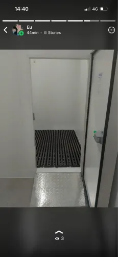 Canária Fria Congelada sob Medida