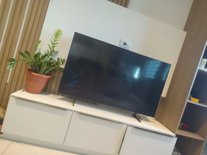 Tv Samsung 55 polegadas