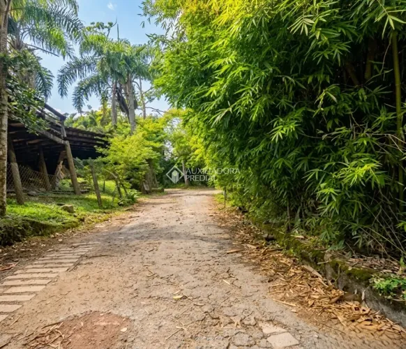 Terreno Raro com Matrícula na Praia do Rosa - 746m² Alto e Bem Localizado