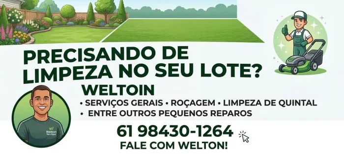 Limpeza de lote, roçagem , cavo fossa