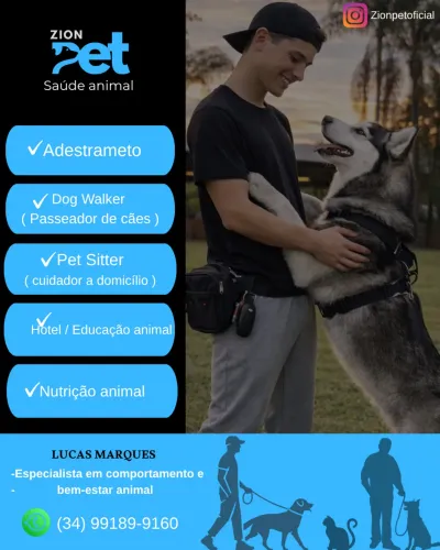 Adestramento de cães 