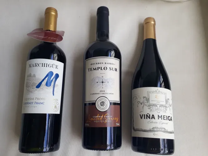Vinhos tintos finos 02 Chilenos e 01 Espanhol