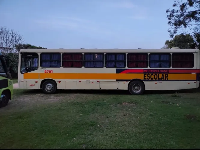 Ônibus e microônibus 