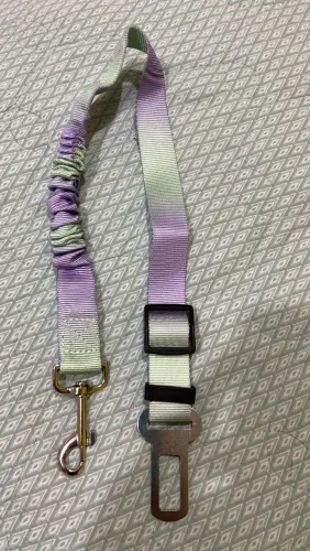Produtos para Pet