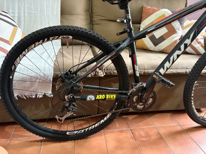 Bicicleta WNY aro 29