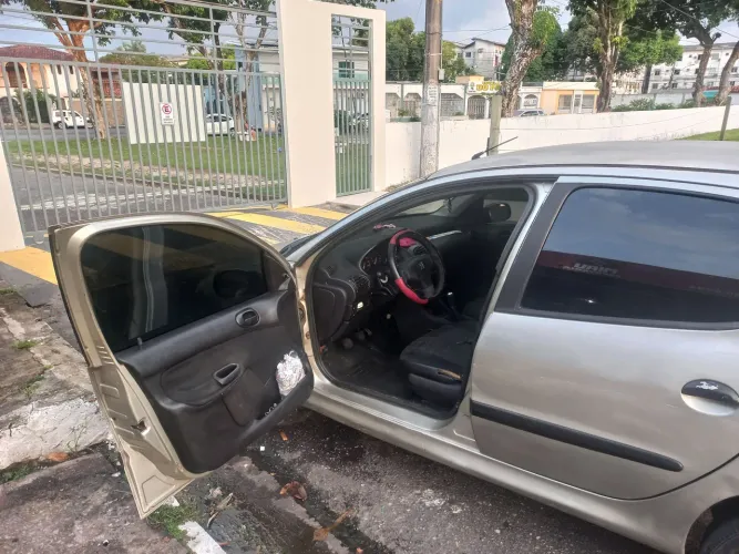 Peugeot 206 Feline 1.4/ 1.4 Flex 8V 5P 2026