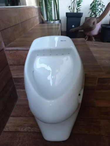 Vazo masculino