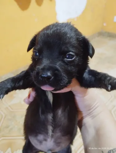 Doação com responsabilidade