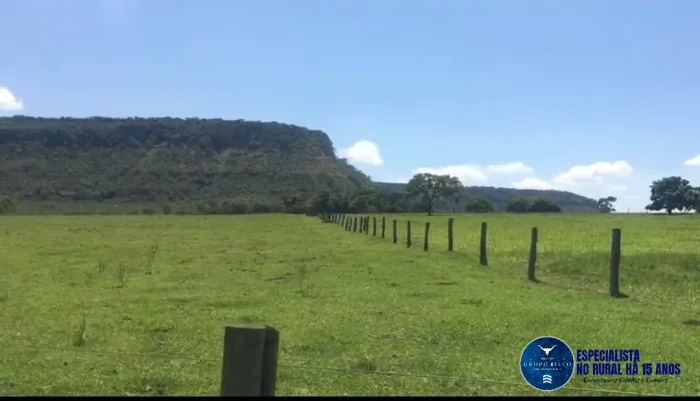 Fazenda à venda em Quirinópolis/GO 43 Alqueires