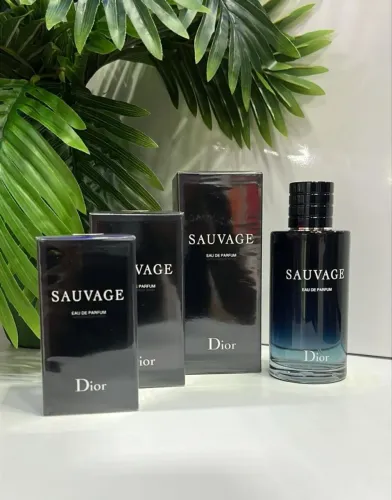 Sauvage Dior Eau PArFUm Masculino 100ml 