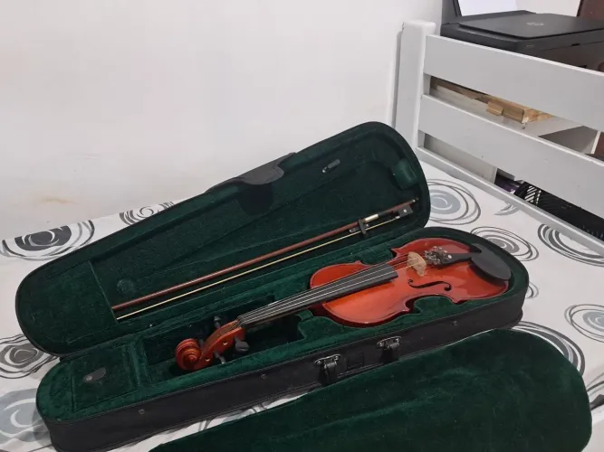 Violino Michael VNM40 (Com Avarias)