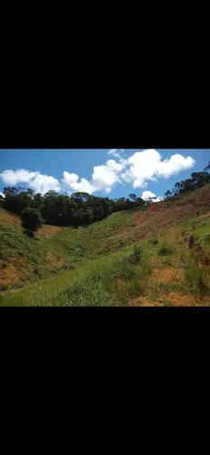 Terreno Alto Santa Rosa 31.000m2