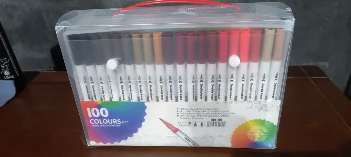 Canetinha 100 cores