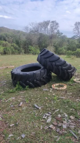 02 pneus agricola 710/70 R38