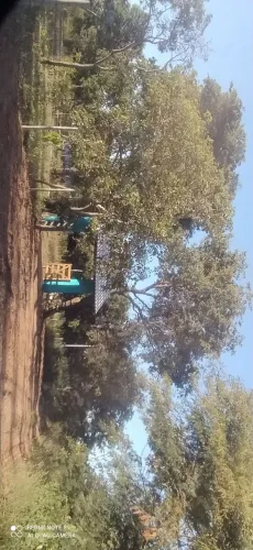 Oportunidade! Chácara em Mirabela 