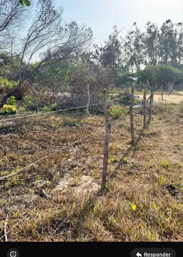 ? TERRENO À VENDA EM BARREIRINHAS - MA