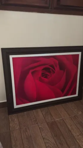 Quadro Flor Vermelha 1,05 X 0,80 do Rei dos Quadros