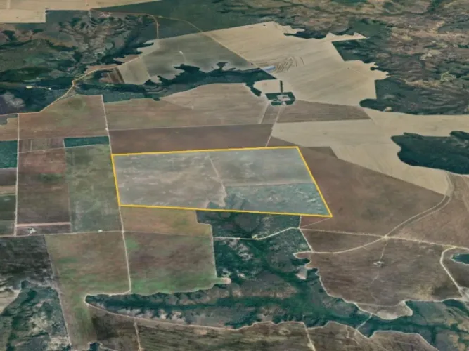 Imóvel Rural com Área de 555 ha (Fazenda Lírios dos Campos) - Loreto - MA