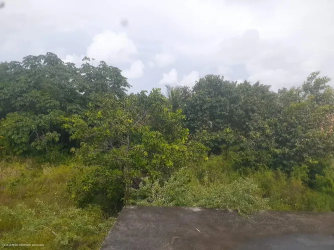 Terreno para Venda em Camaçari, Jauá (Abrantes)