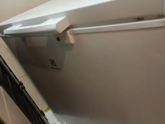 Freezer vertical