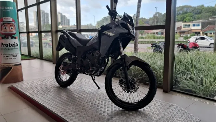 HONDA | XRE SAHARA 300 STD 0KM