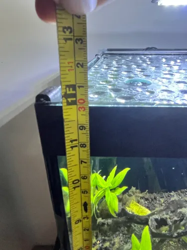 Aquário sump