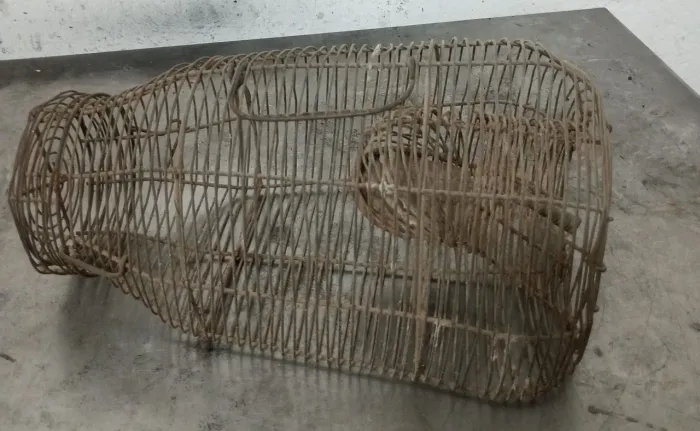 Ratoeira Antiga
