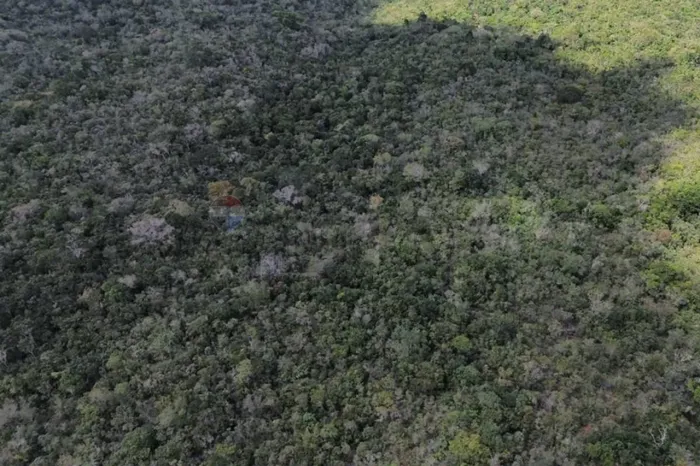 Fazenda Santa Rita: Riqueza Natural com Água Perene na Chapada Diamantina
