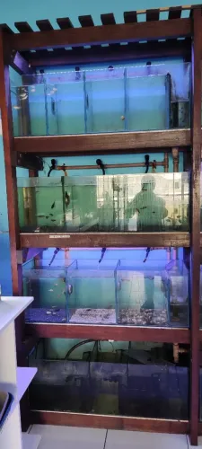 Vendo loja de aquarismo e agropet