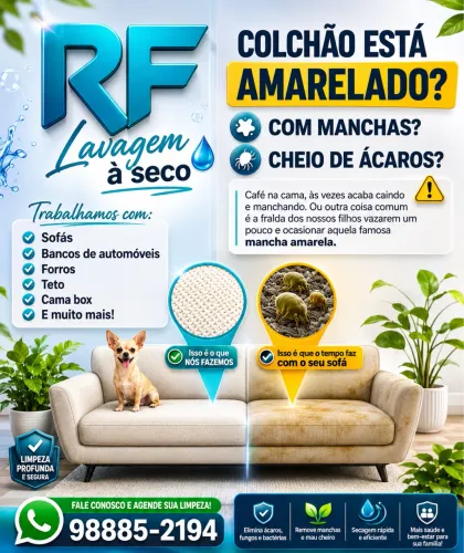 Lavagem a seco 