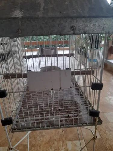 Gaiola para periquito australianos