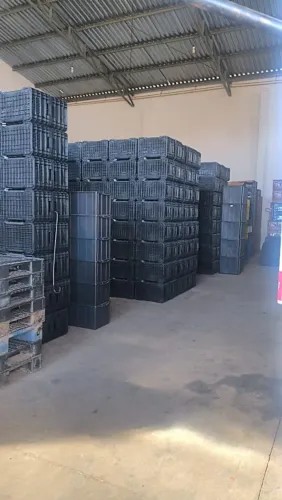 Vendo caixa de hortifrut 
