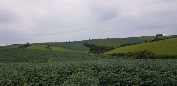 Fazenda 213 Alqueires, Dupla Aptidão, Topografia Plana, Rica em Água com Nascentes, Aprove