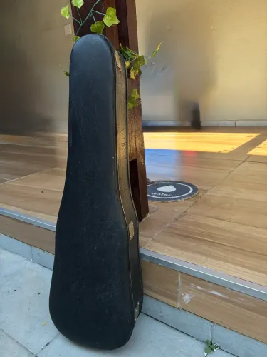 Estojo Vintage de Violino