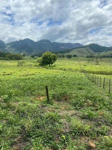 LOTES DE 10.000 A 12.000 m² - GIRONDA / SOTURNO - CACHOEIRO DE ITAPEMIRIM/ES