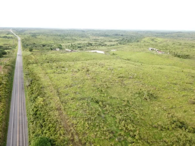 1404 alqueires no asfalto fada pra gado no Pará