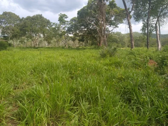 Vendo Fazenda em Porto Nacional TO Escriturada 20 Alqueires